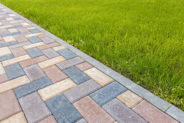 Best Driveway Paver Repair  in Meadowbrook, VA